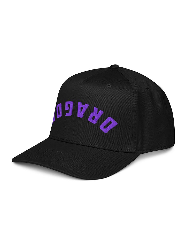 Dragon Curve - Baseball Cap product image (2)
