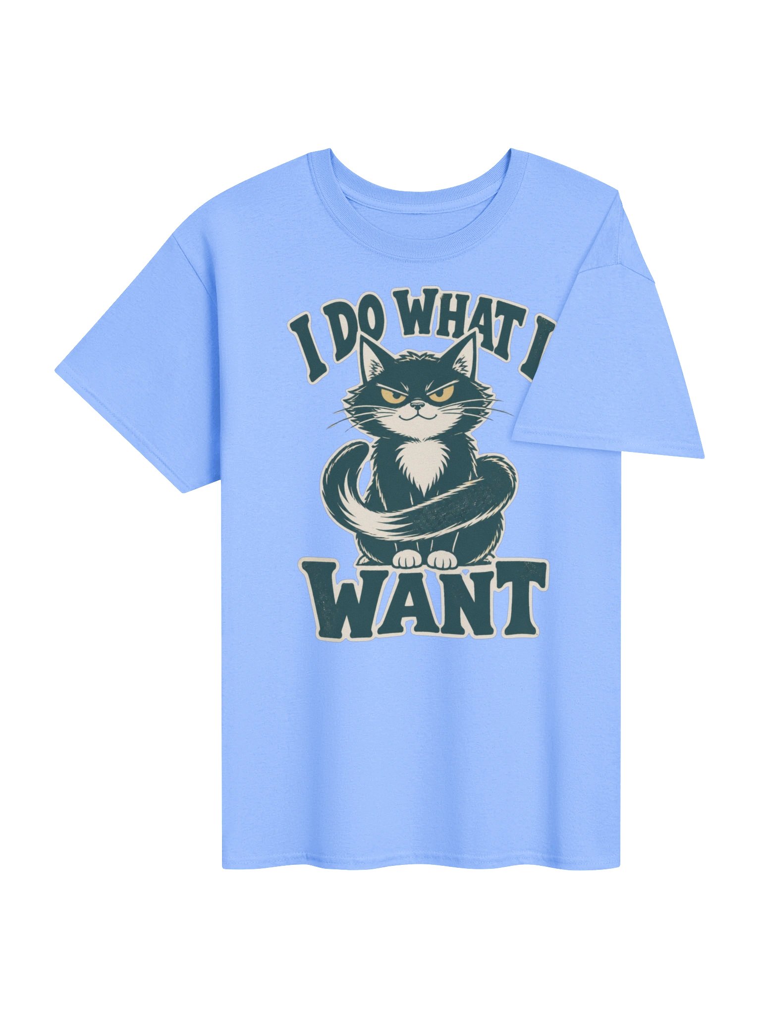 I Do What I Want Cat T-Shirt – Funny Vintage Cat Lover Graphic product image (33)