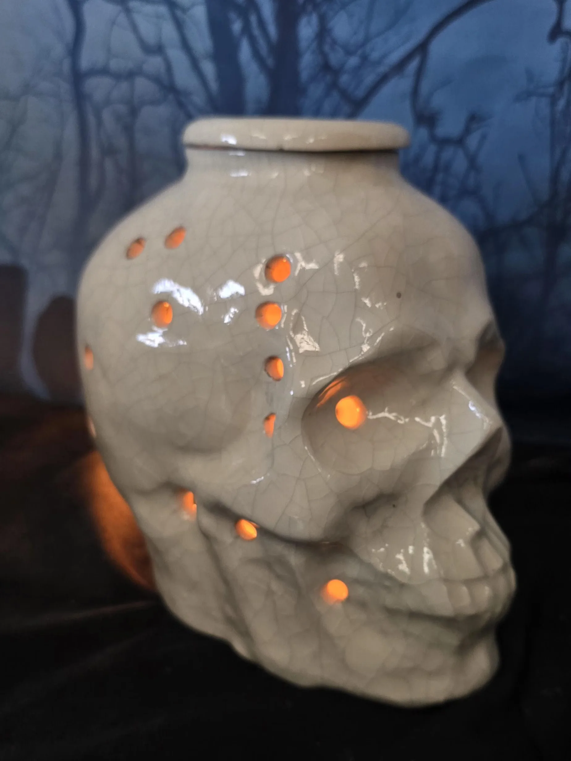Crackle Glaze Skull Wax Warmer: Ceramic Incense Burner product image (5)