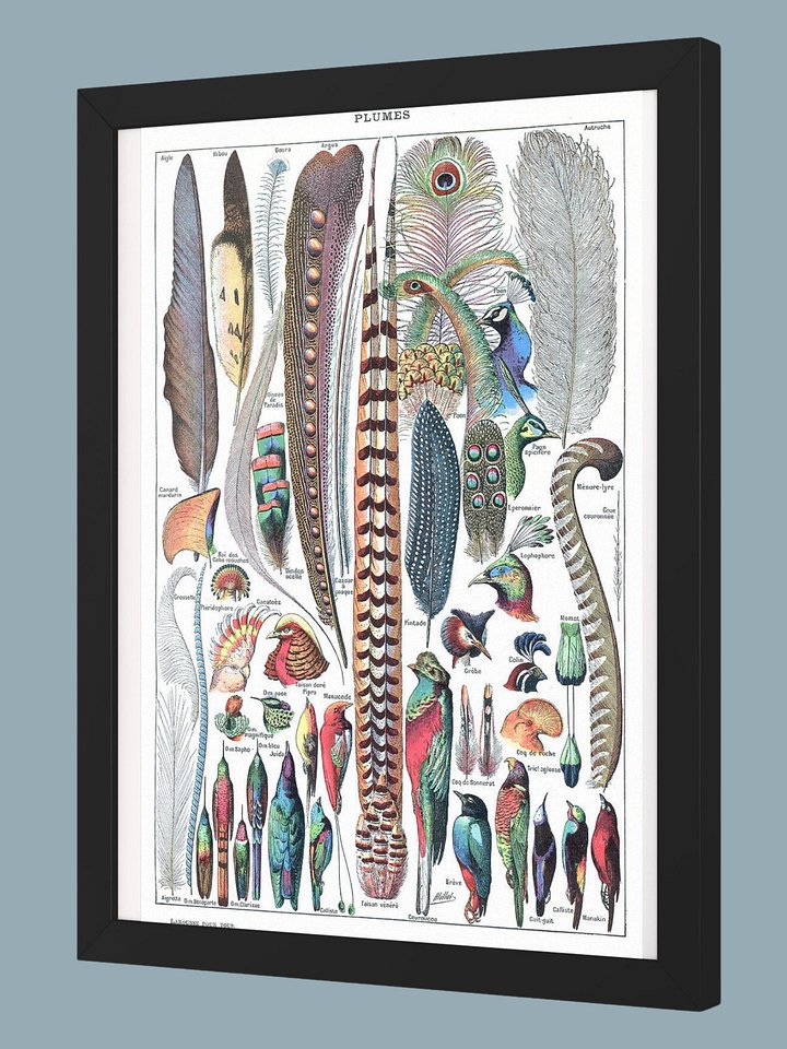 Types de plumes Larousse pour tous 1907–1910 product image (2)