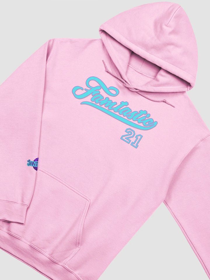 Famtastic Team Hoodie product image (1)