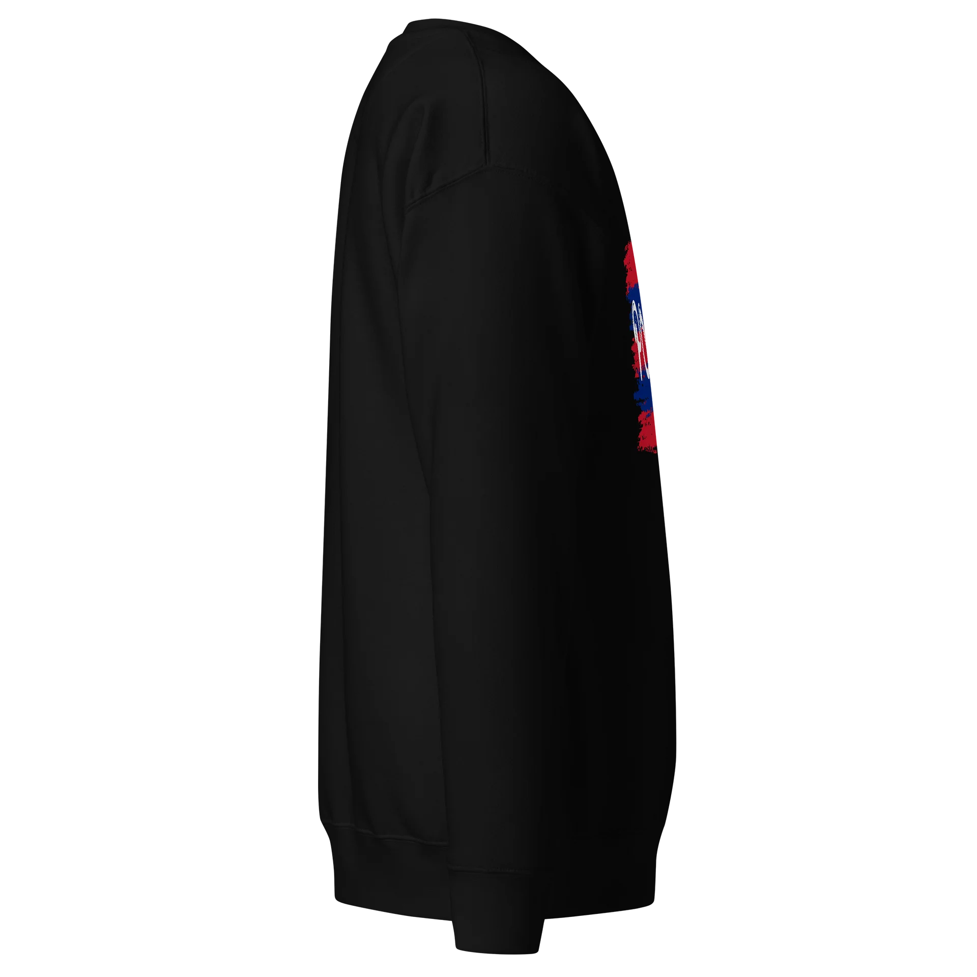 POA 72 Brush-Stroke Sweatshirt product image (11)