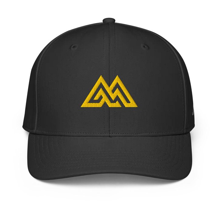 Adidas Performance cap product image (2)