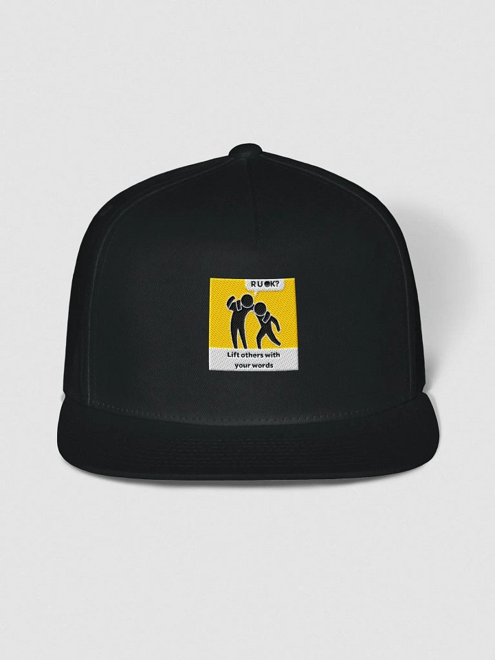The OK Show Snapback product image (3)