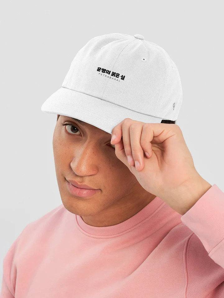 TRTOF Dad Hat product image (10)