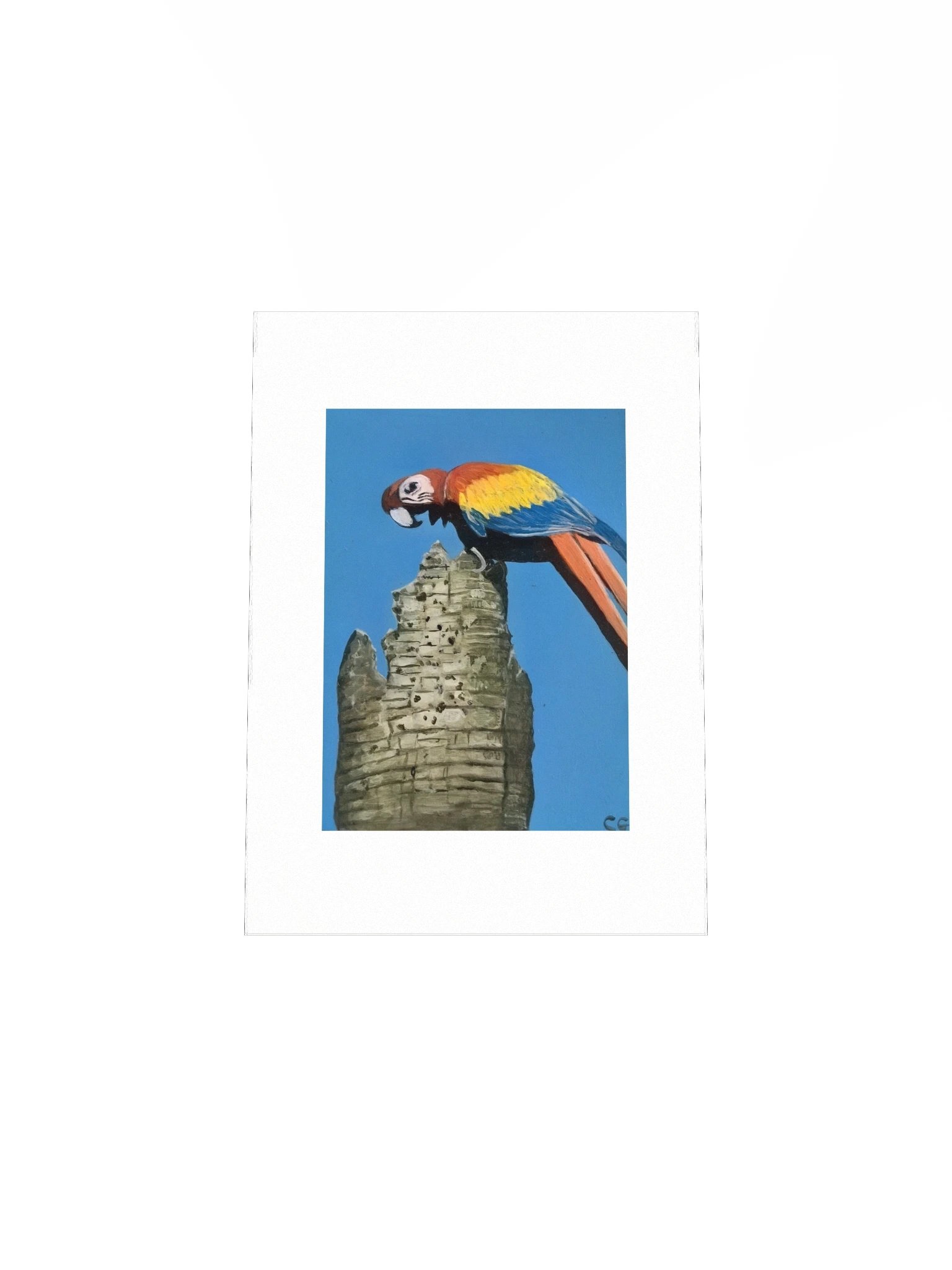 Scarlet Spirit of Playa Blanca Matte Poster product image (4)
