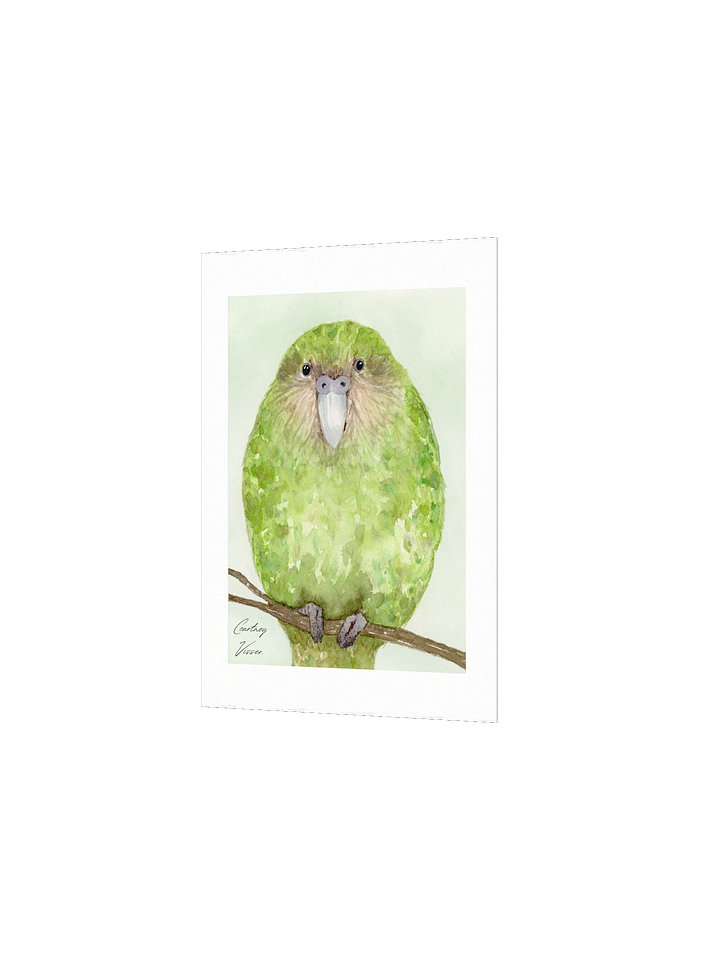 Kākāpō print product image (4)