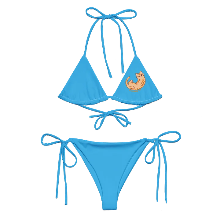 Looooong Boi Bikini product image (2)