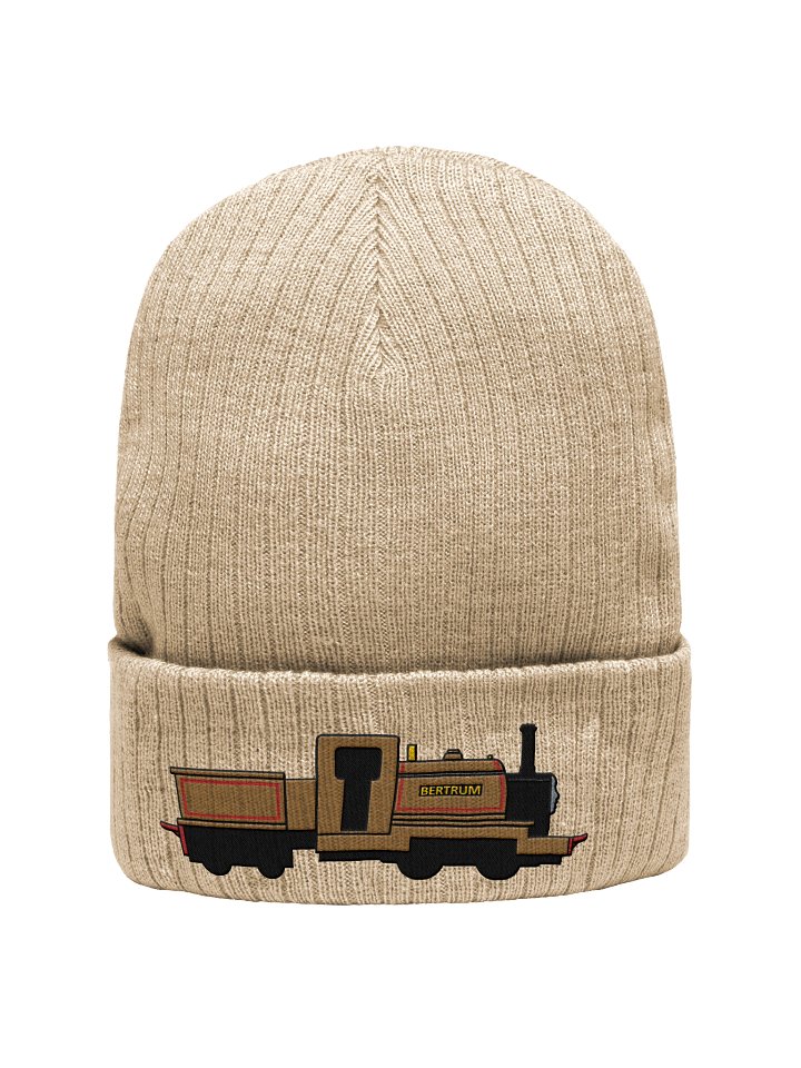 Bertrum Embroidered Beanie product image (1)