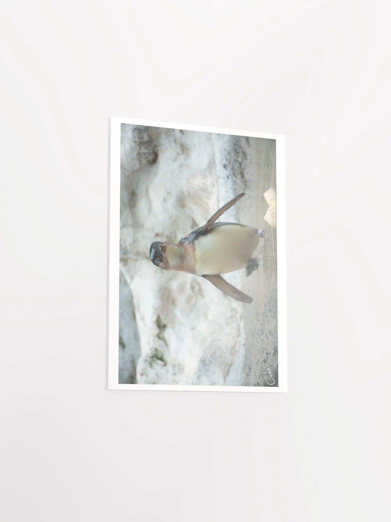Penguins March - Print product image (3)