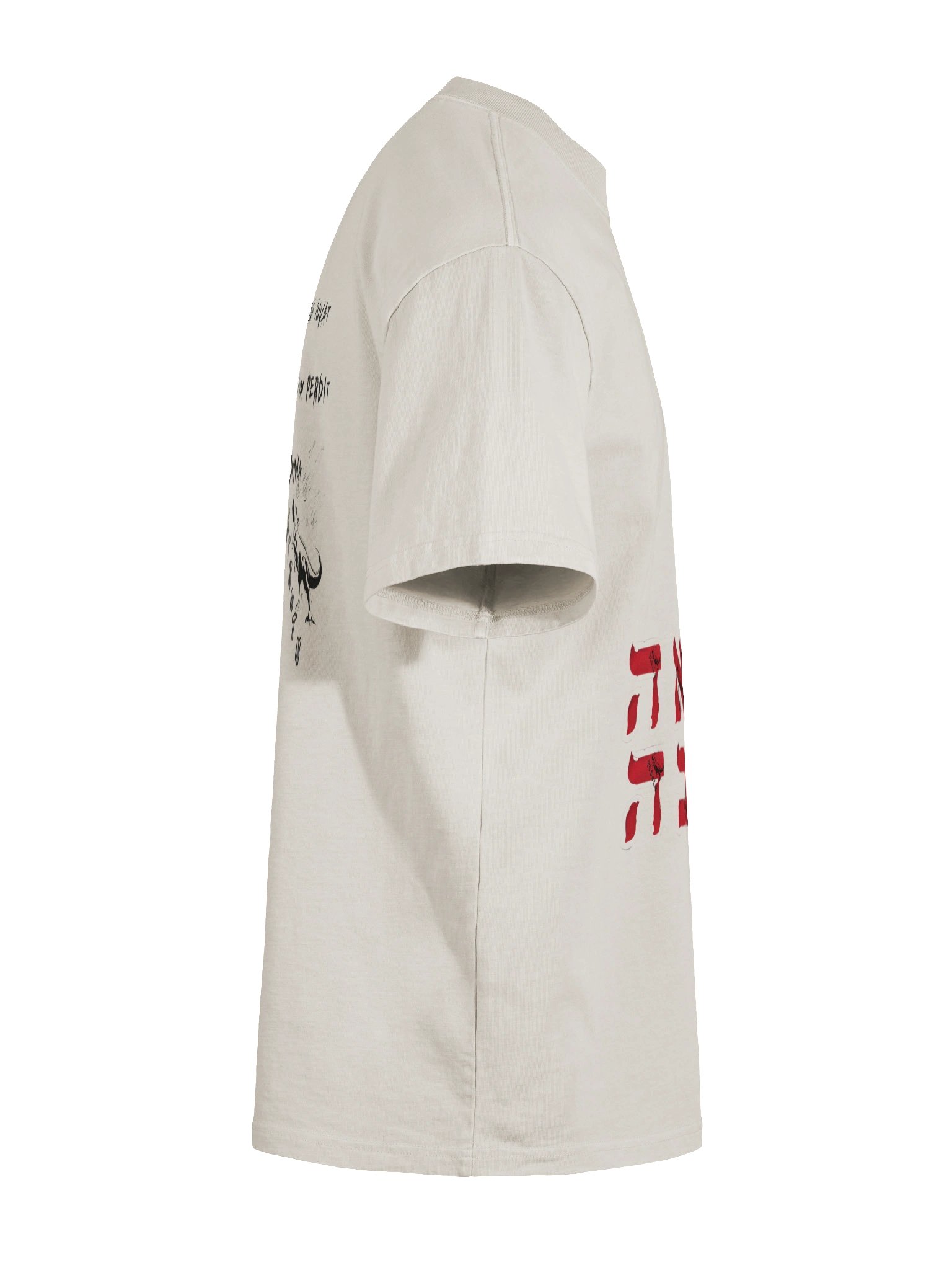 latin detected product image (11)