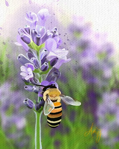 I like learning new things, so when I searched for reference pix of lavender & got MANY different results, I though geesh, I ...
