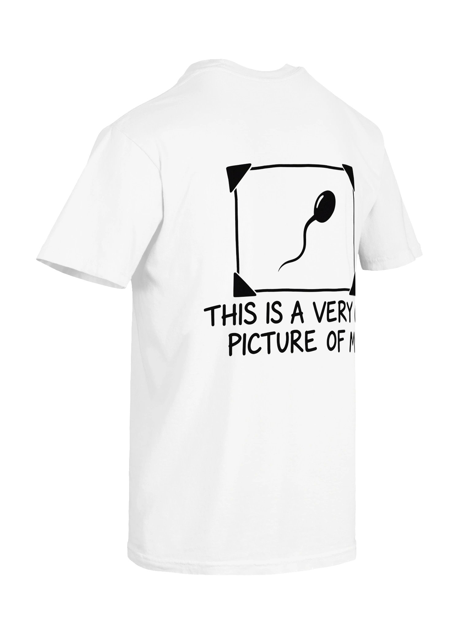 Vintage Picture of Me T-Shirt product image (22)