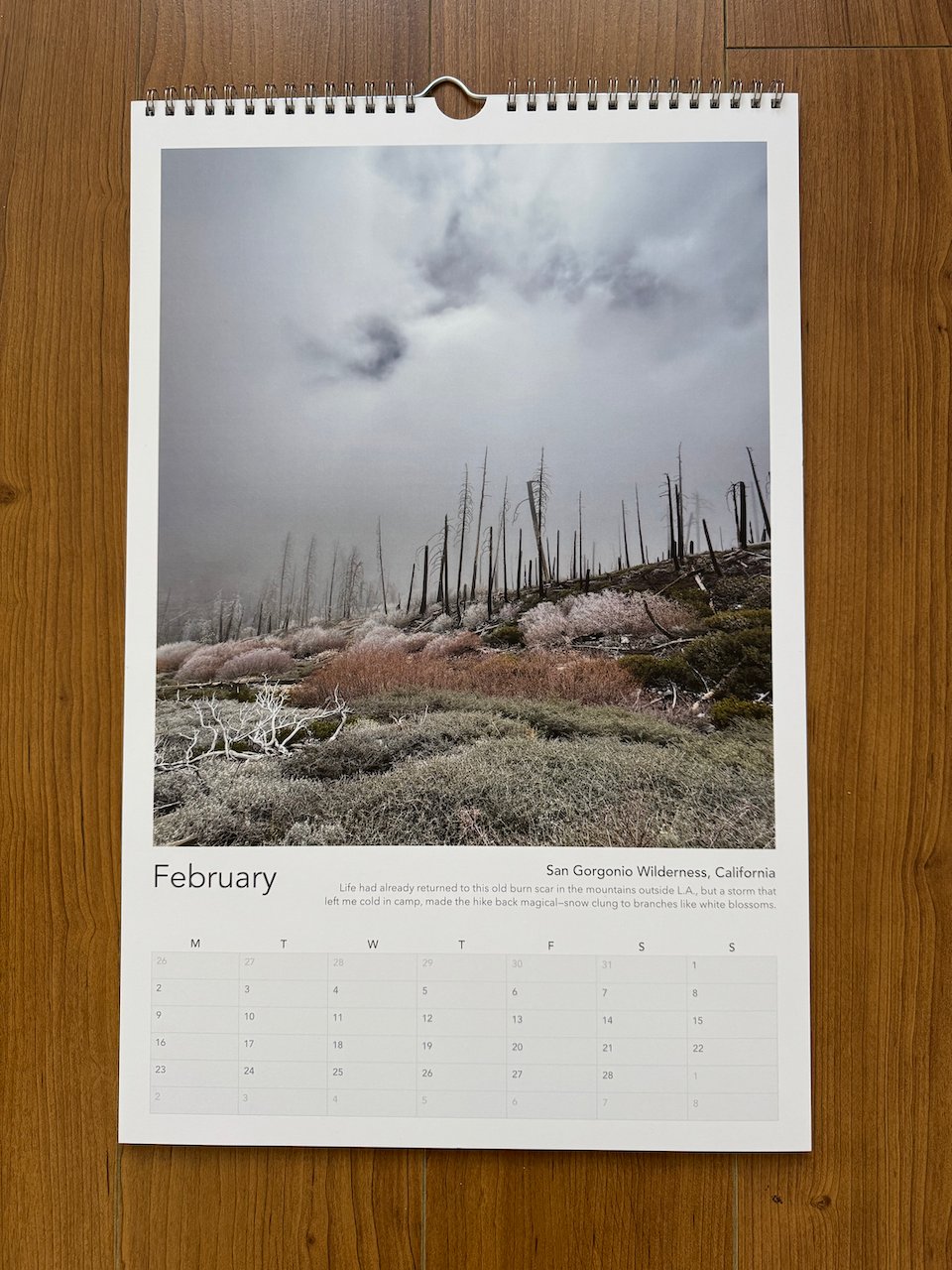 Calendar 2026 - Shifting Light product image (6)