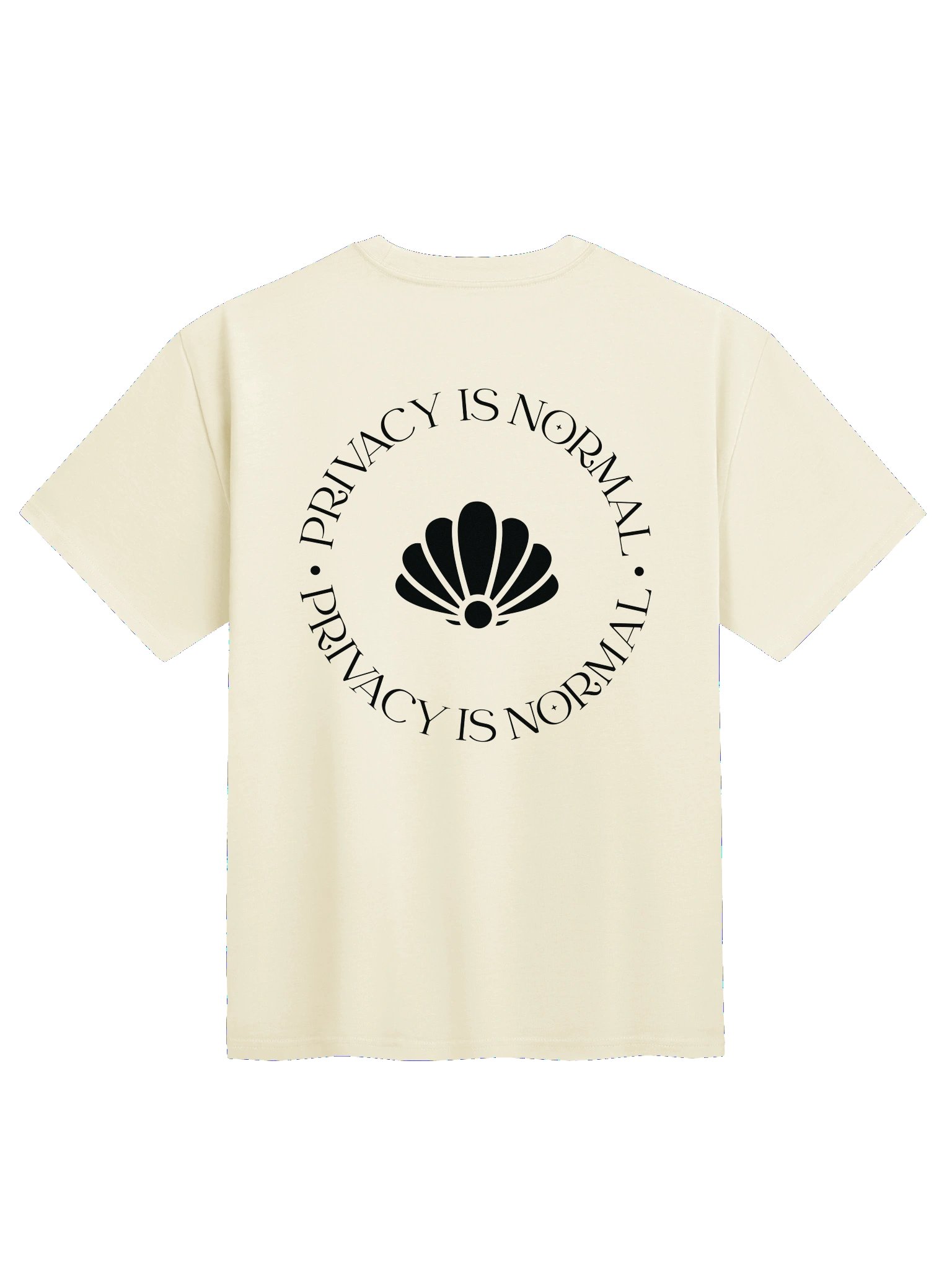 Privacy Is Normal Boxy Heavy Tee product image (10)