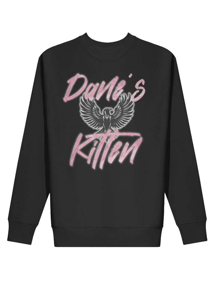 Dane's Kitten Sweatshirt product image (2)