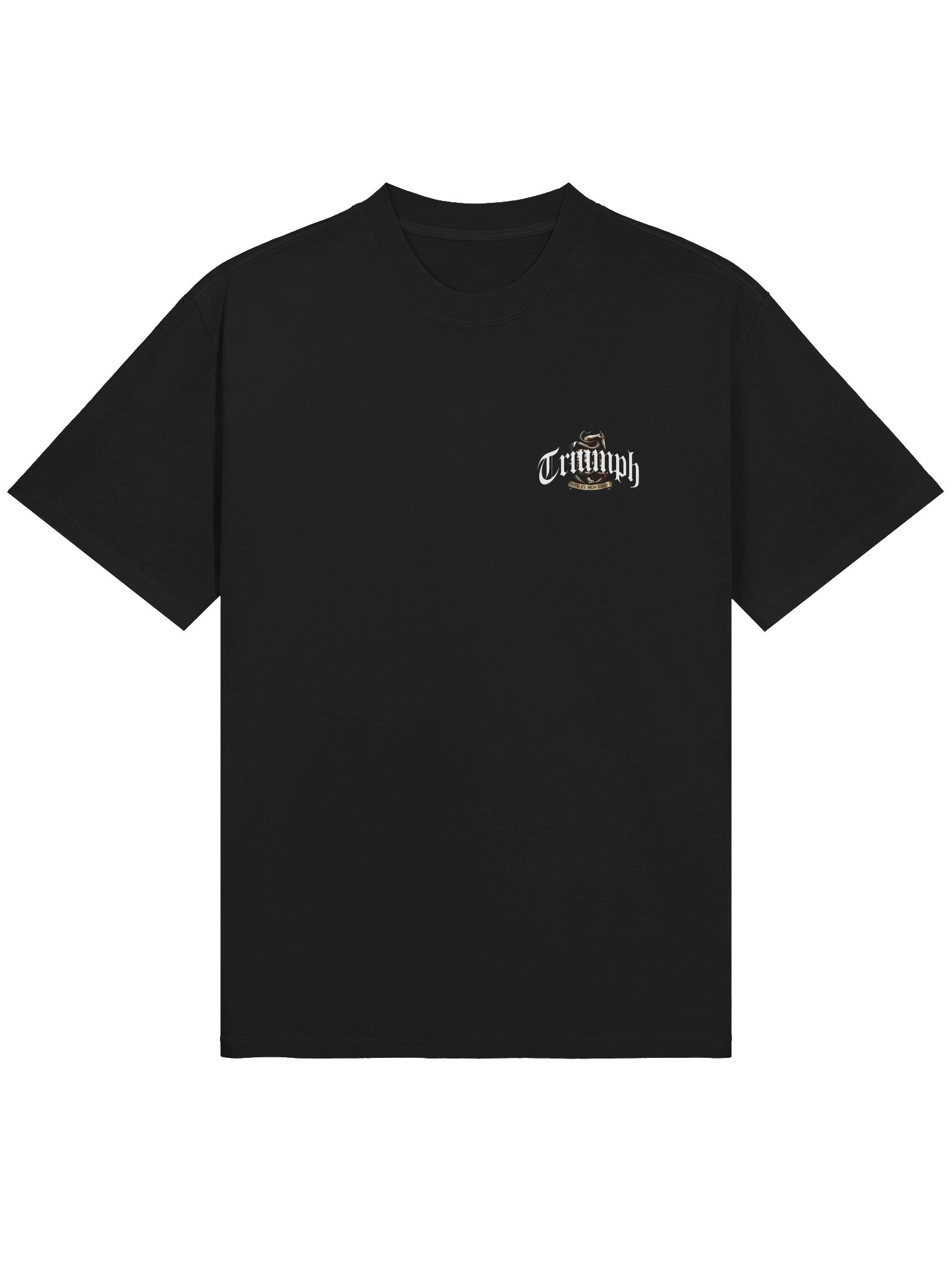 Triumph Crest Oversized Faded Tee product image (1)