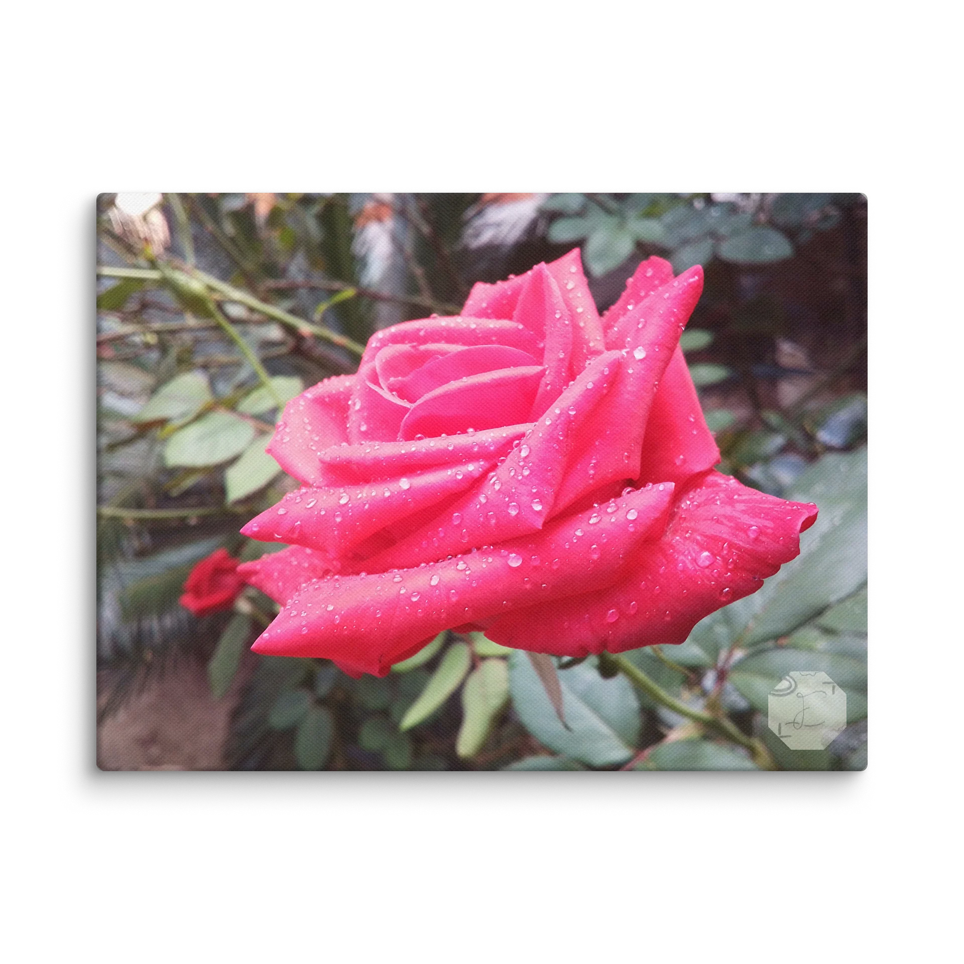 Rosaceous - Canvas Fine Art product image (2)
