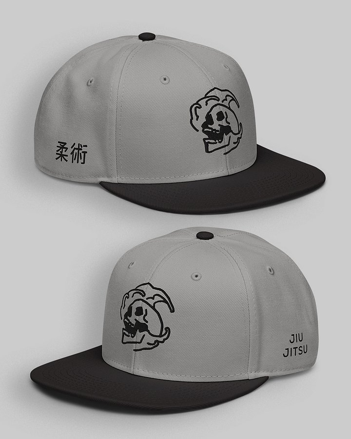 Jiu Jitsu Skull Embroidered Snapback | Grey product image (1)