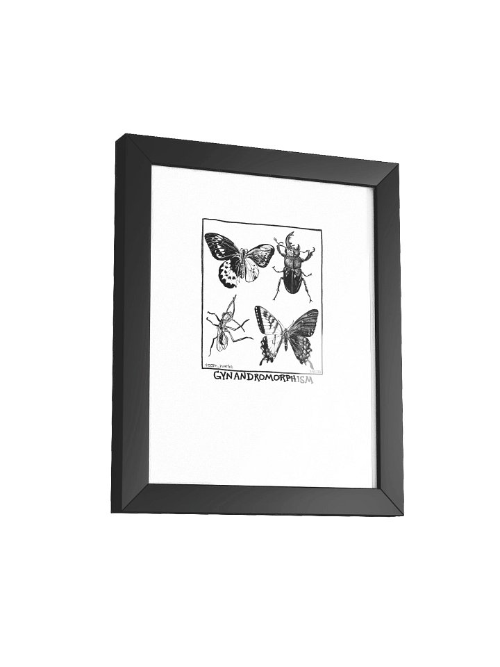 FRAMED GYNANDROMORPHISM PRINT product image (5)