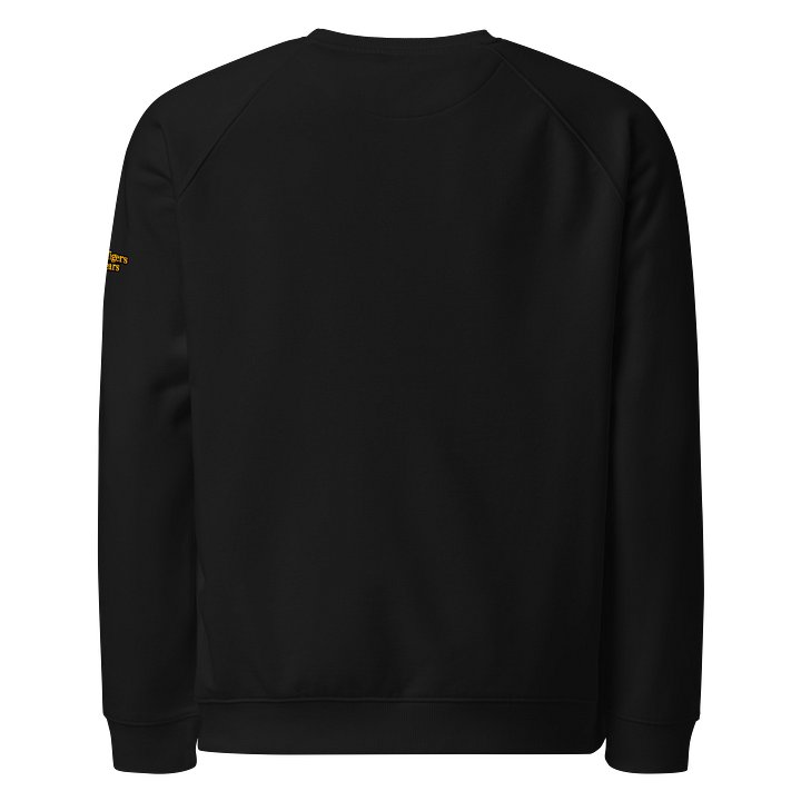 Gradient Raglan Crewneck product image (2)