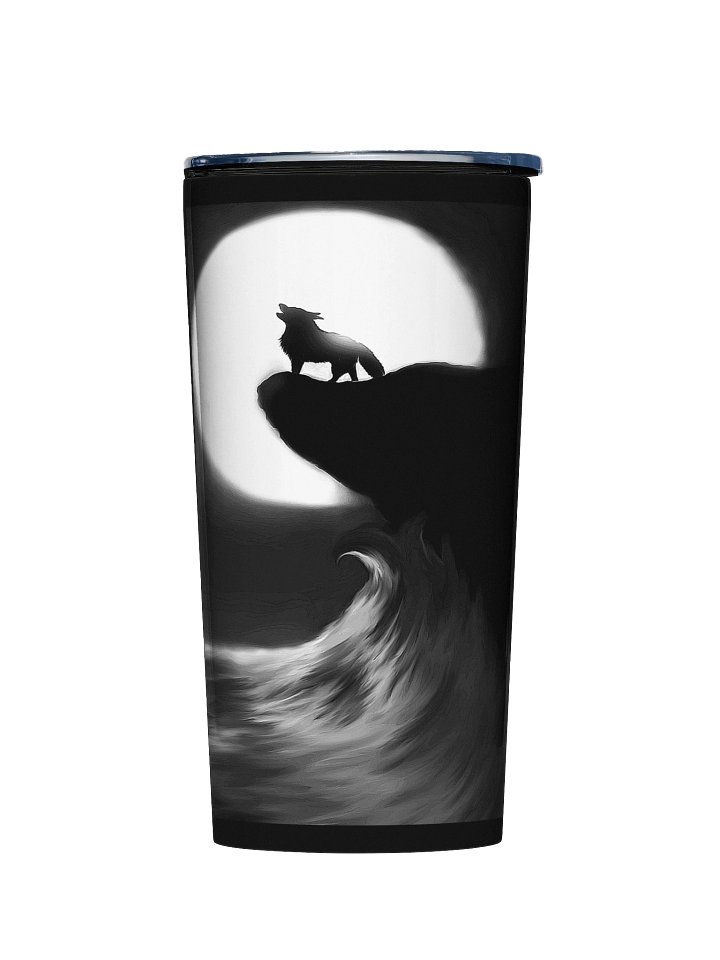 20oz Stainless Steel Tumbler product image (1)
