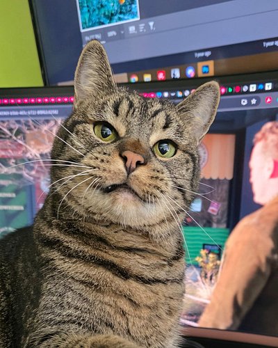 Day 188: 300 words. I bet most people will scroll past this post. So here's a picture of Gar, so you don't (I think the algor...