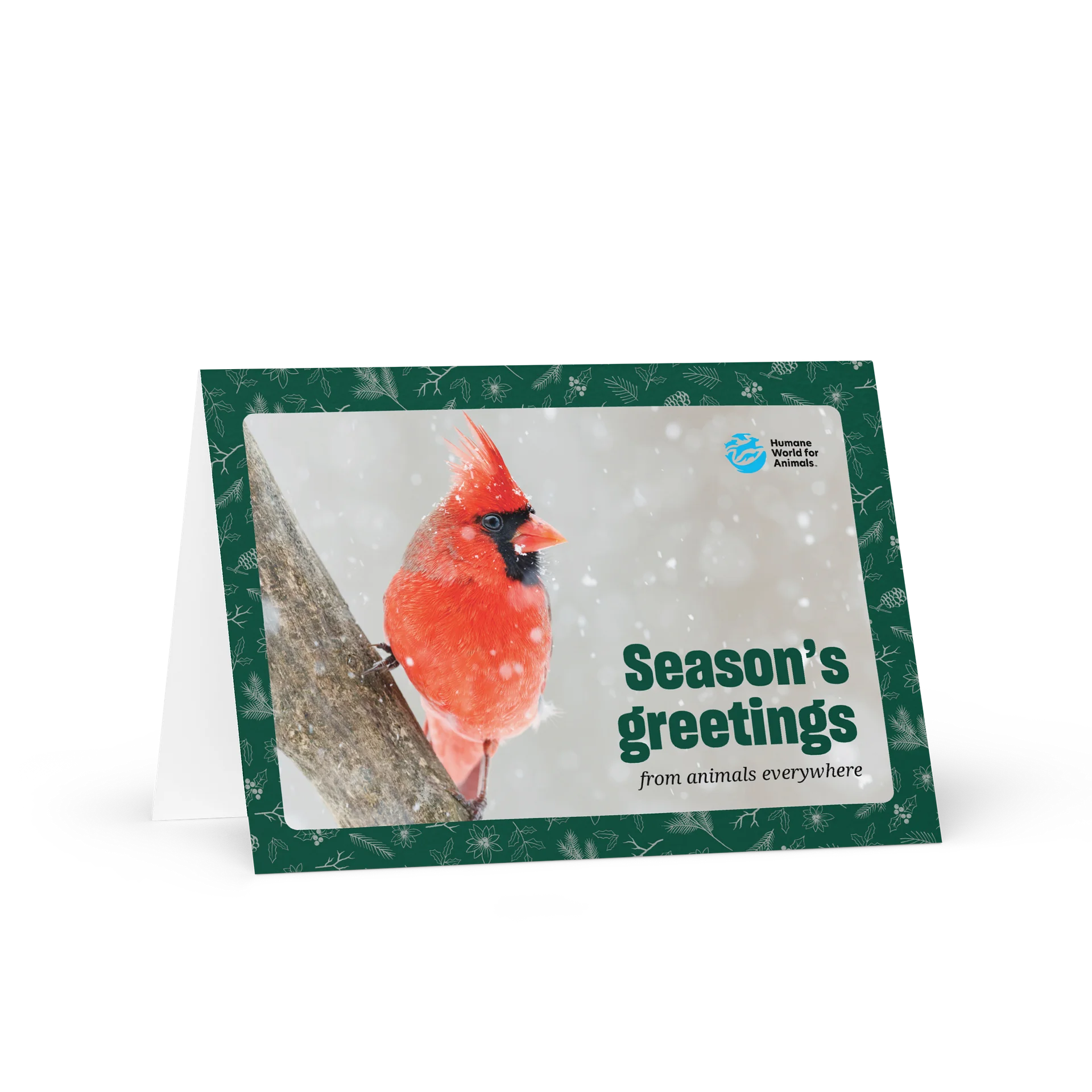 Holiday card - Bird product image (1)