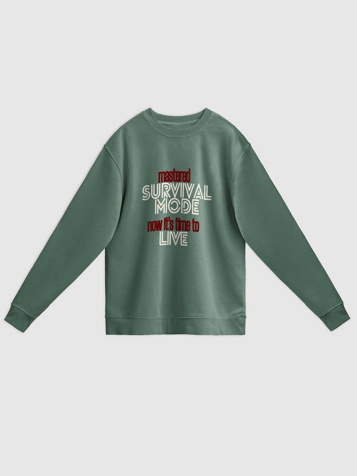 Mastered Survival Mode Sweatshirt product image (31)