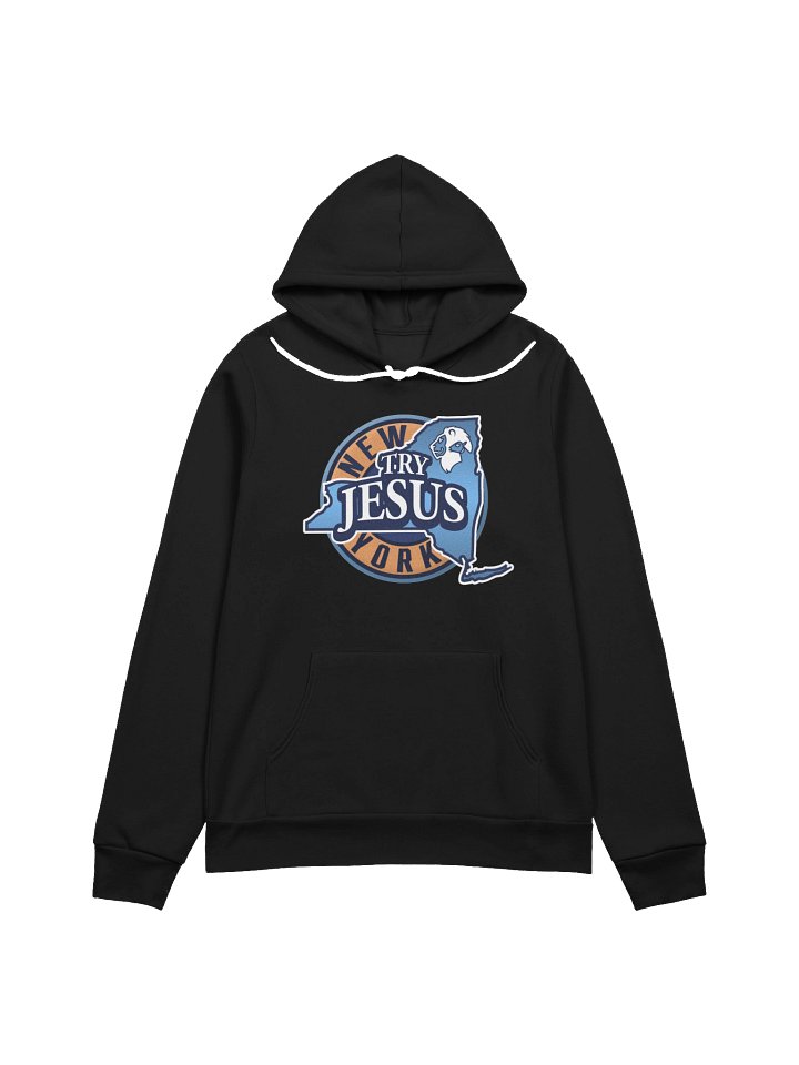Hoodie (Unisex) product image (1)