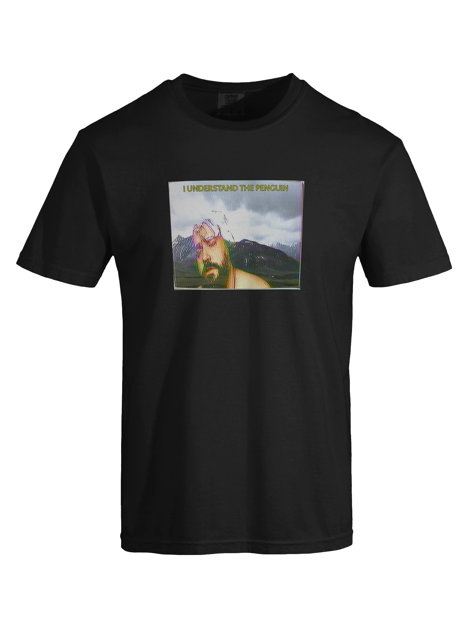 I UNDERSTAND THE PENGUIN SHIRT product image (69)