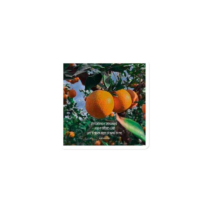 Life's never been so kind to me- Tangerine Magnet product image (1)