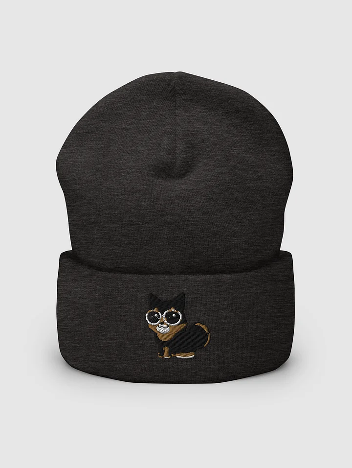 Midna Sunglasses Cuffed Beanie product image (1)