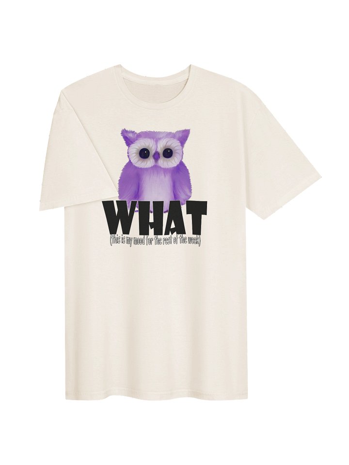 Unisex Gildan Softstyle T-Shirt product image (2)