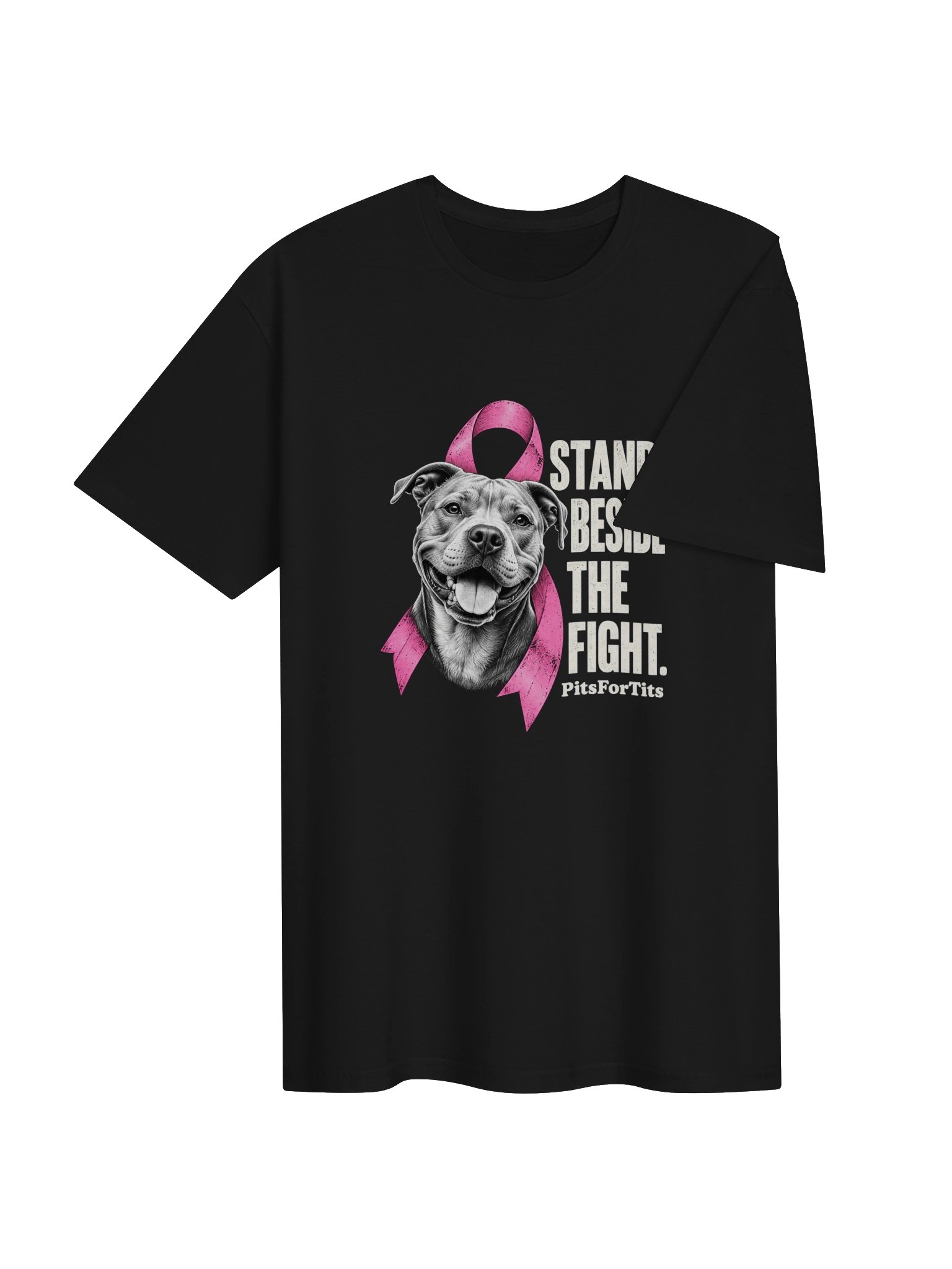 STAND BESIDE THE FIGHT. product image (23)