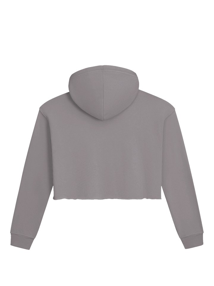 HJ Crop Top Outlaw Hoodie Grey product image (2)