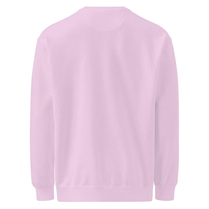 Natural Genders Symbolic Sweatshirt product image (2)
