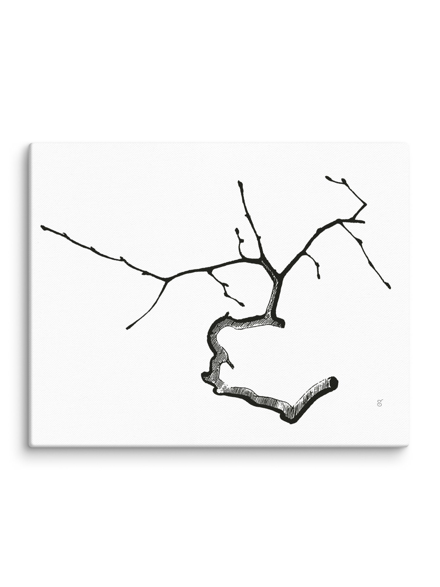 Branching Out Canvas Collection - Elegant Twig product image (2)