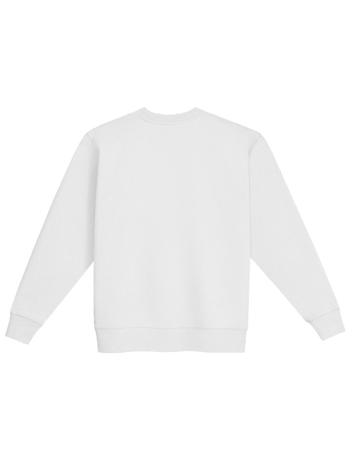 Embroidered Sweatshirt product image (2)