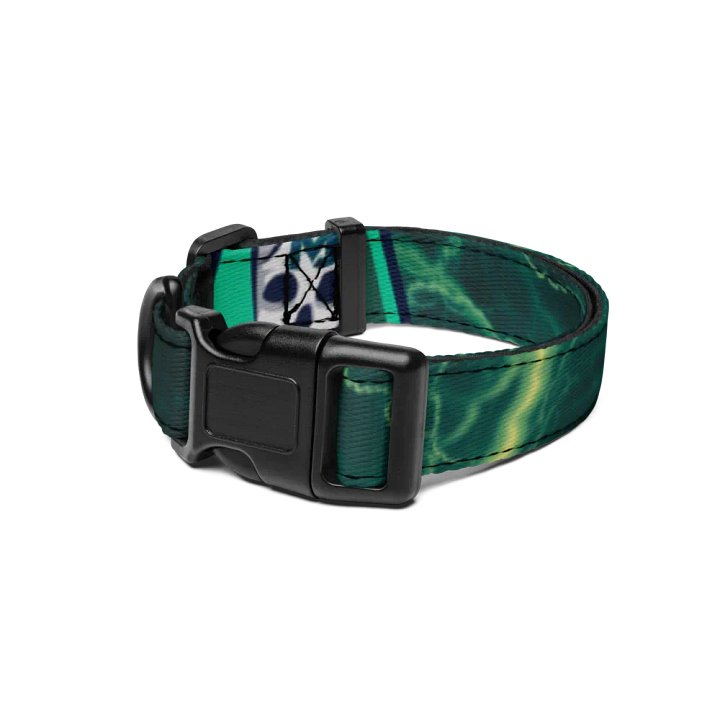 Hellacious Dog Collar product image (1)