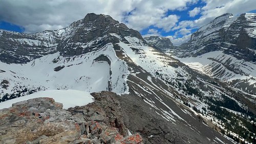 Little Lougheed is one of my favourite hikes because the whole route keeps changing on you. You start near Spencer Creek, fol...