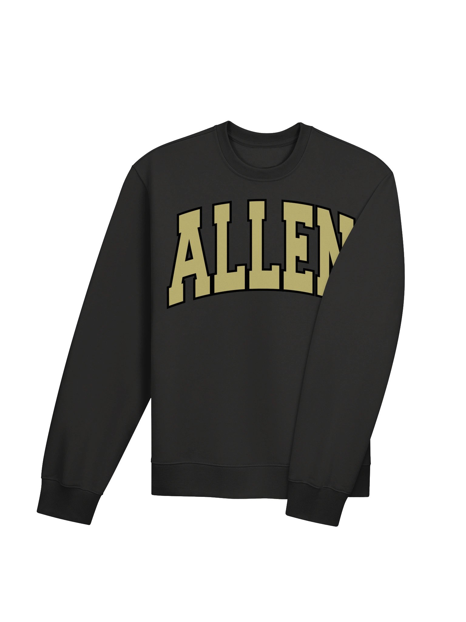 Allen Oversized Bella+Canvas Crewneck Sweatshirt product image (16)