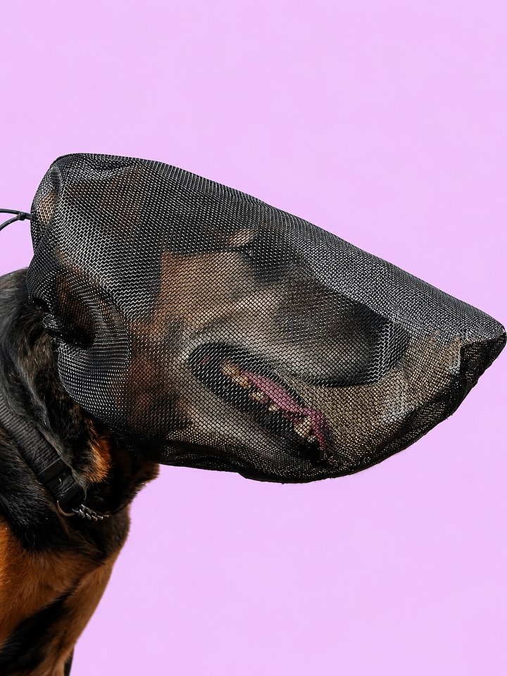 Field Guard Masks For Dogs product image (1)