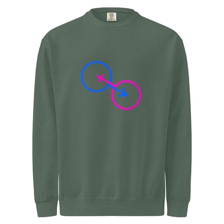 The Nature Of Two Genders Symbolic Sweatshirt product image (1)