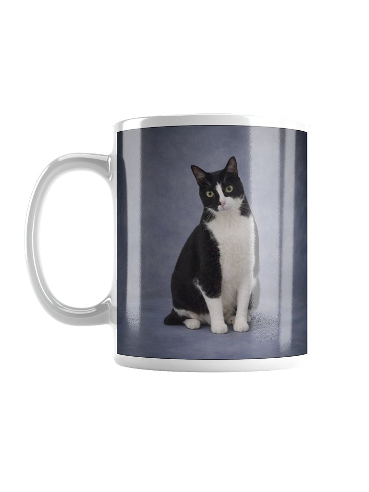 The Ares "General of the Guard" Two-Sided Mug 🐾⚔️ product image (1)
