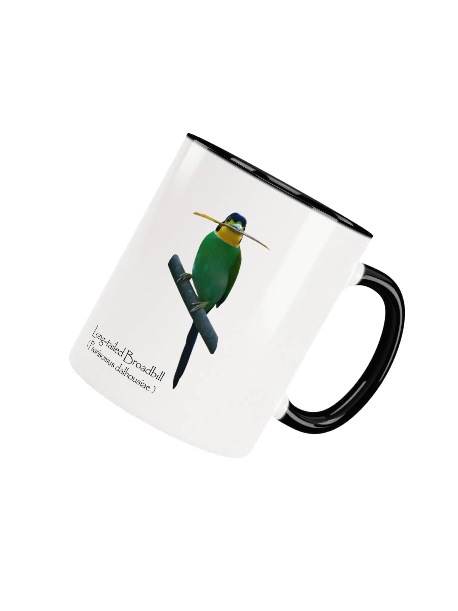 Long-tailed Broadbill mug. product image (4)