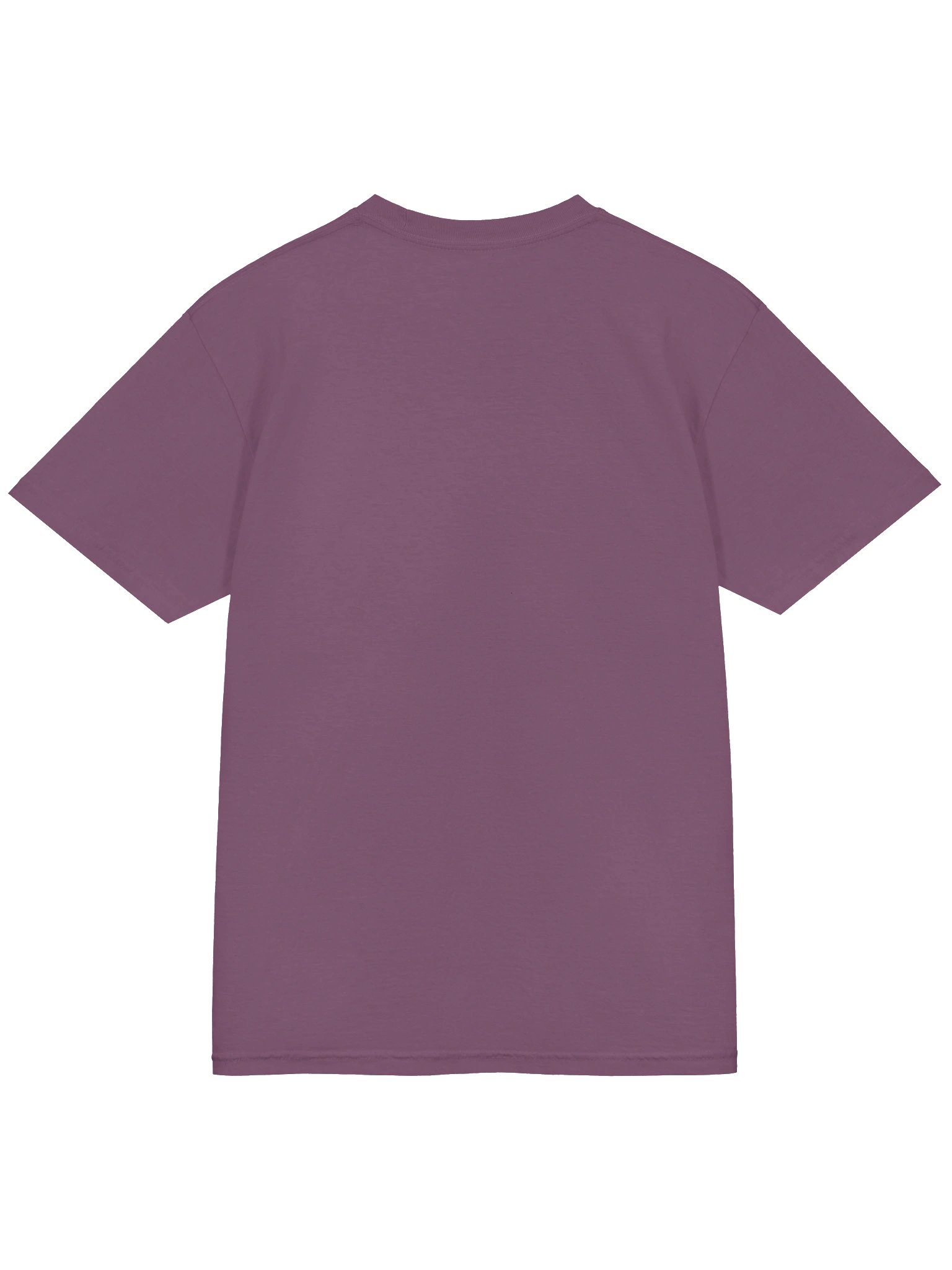 PiichiTheOcto Logo T-Shirt product image (30)