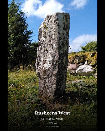 Ogham Stone: An Roisín Thiar | Rusheens West

Uncovering the ancient world, one stone at a time. Meet the An Roisín Thiar | R...