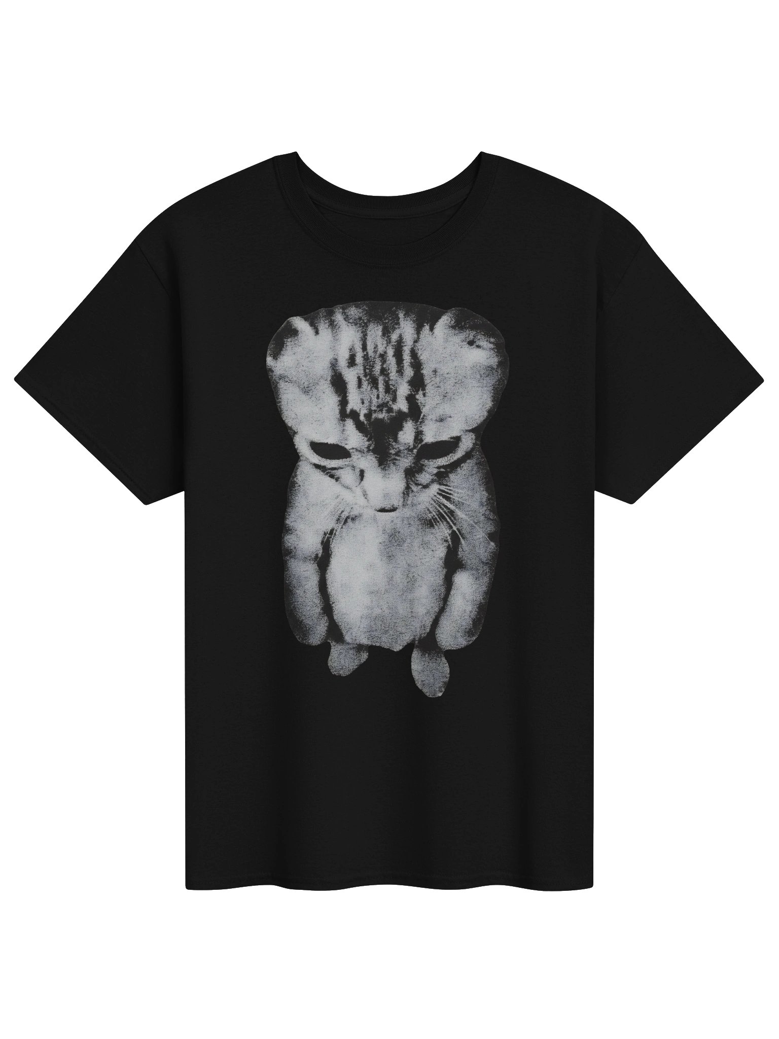 Brain Empty Cat T-shirt product image (1)