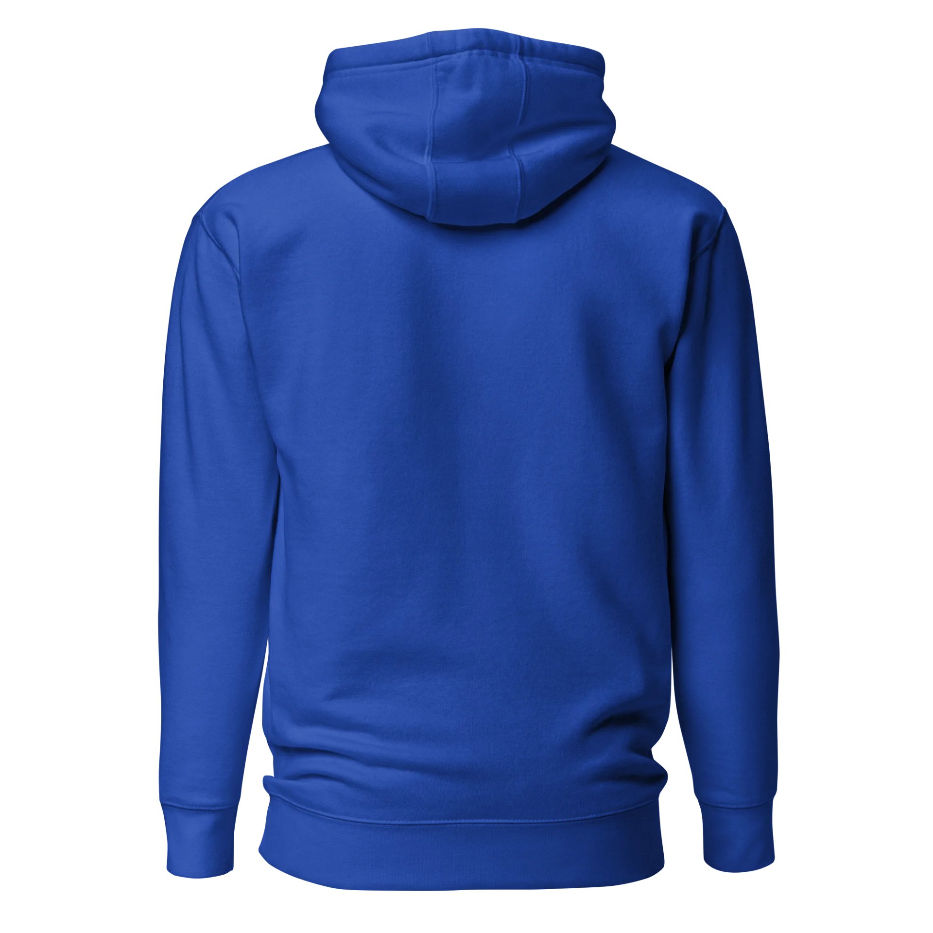 Core 313 Hoodie #1 product image (7)